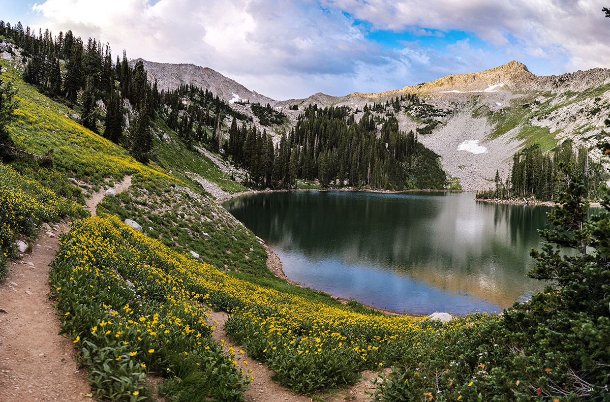 Wasatch Mountains